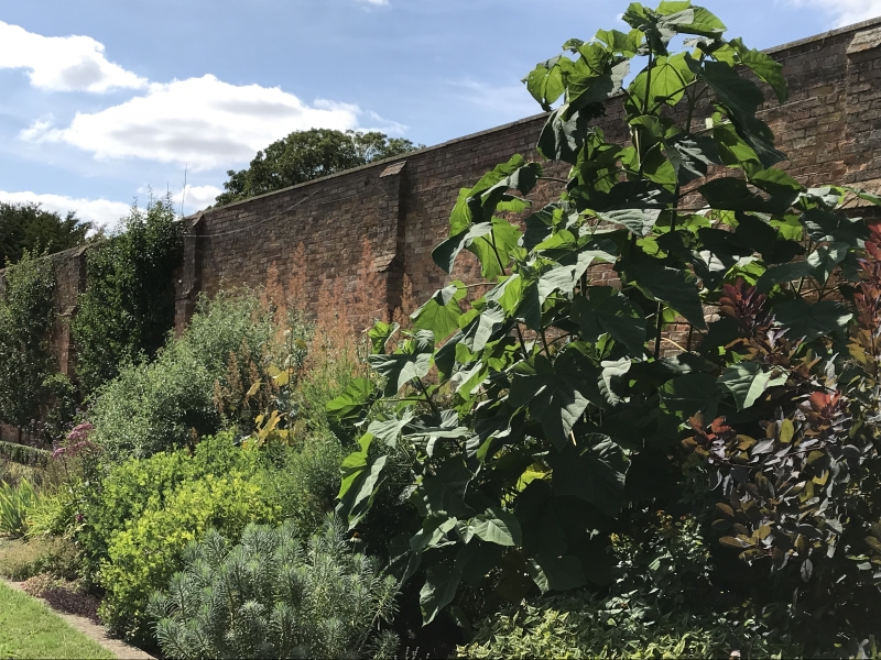 The Walled Garden, Blatherwycke Estate